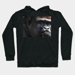 Gorilla Hoodie